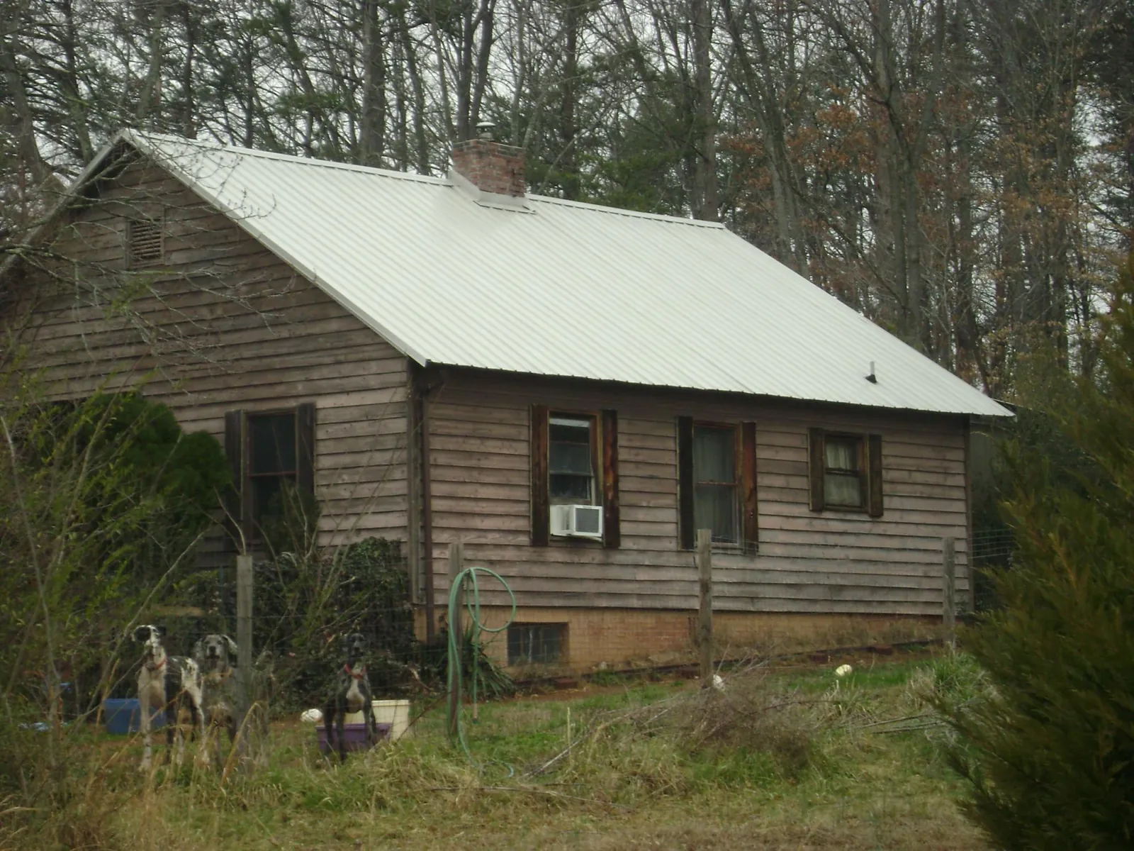White metal roof on an old wood sided farmhouse, from a Asphalt Shingle Roof Repair job in Jacksonville Beach